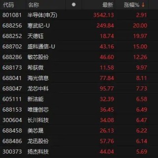午后ETF放量，科技股爆发