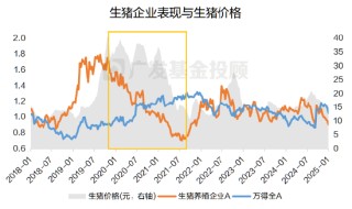 一文读懂2025年消费细分行业分析：是“宝藏”还是“风险”？