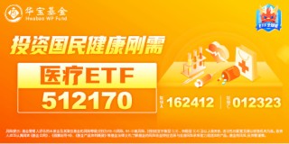 国家数据集团上线，大数据、信创携手飙升！AI医疗站上风口，科网牛继续狂奔，港股互联网ETF标的单周涨逾13%！