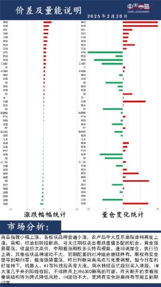 中天策略:2月20日市场分析