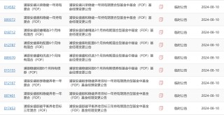曾经的百亿FOF基金经理，“清仓式”卸任9只在管产品