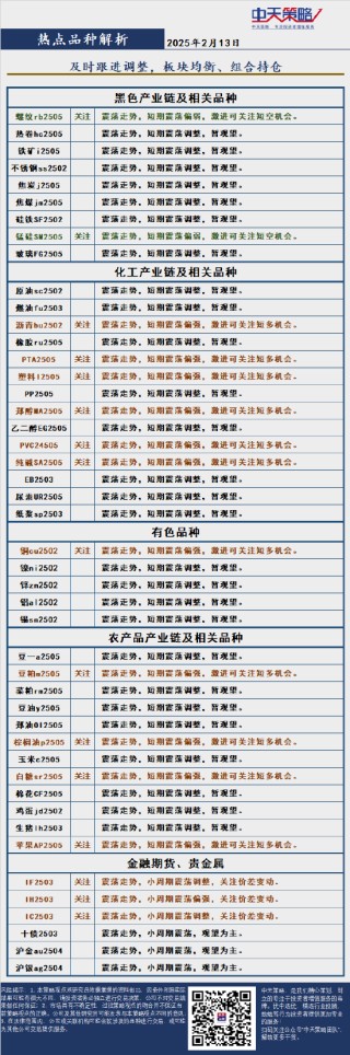 中天策略:2月13日市场分析