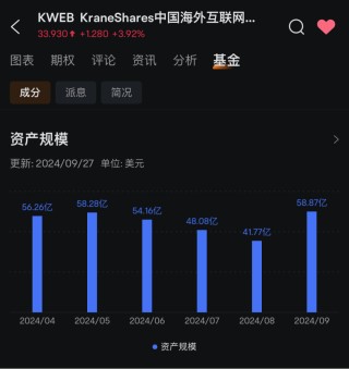 新高！外资大举买入中概股ETF