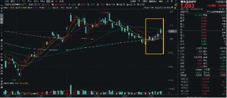 业绩“点赞”！洛阳钼业归母净利预增6-7倍，黄金个股业绩预喜，有色龙头ETF（159876）盘中逆市上探1.57%