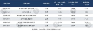 6月涨得最猛的板块，让这些基金冲上来了