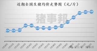 猪事邦||8月3日猪价汇总（全国均价为9.96元/斤！）