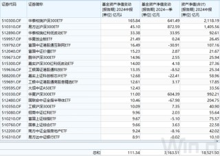 "国家队"扫货动向曝光！