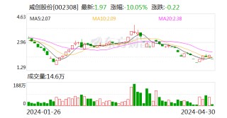 威创股份：公司股票交易将被实施退市风险警示