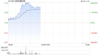 正乾金融控股复牌暴涨超266% 公司补发上半年业绩报告