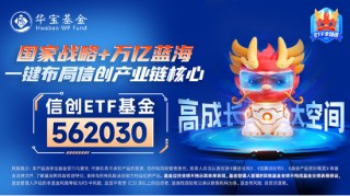 AI新主线爆发，阿里巴巴创22个月以来最大单日涨幅！DeepSeek火热，信创ETF基金（562030）再涨2.5%，地产、金融翘尾上攻