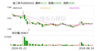 秦彦平当选渝三峡A董事长
