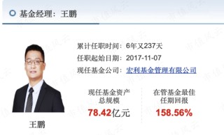上半年权益基金红黑榜：宏利基金王鹏大赚30%，华商基金高兵一年半大亏6成