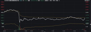 安理会通过加沙停火决议 海运巨头股价跌停，反应过度还是拐点已至？