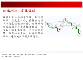 中天期货:豆粕区间震荡 棕榈调整继续