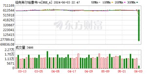 突发！伯克希尔哈撒韦跌近100%！