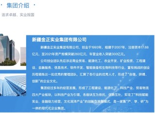 广汇汽车涨停 公司控制权可能变更