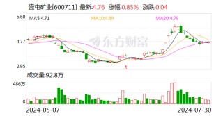 净利预增5倍 后脚“戴帽”！盛屯矿业虚增营收超3亿 约18万股东“踩雷”