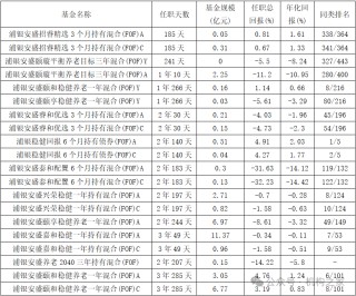 “FOF一哥”陈曙亮迫于压力离职！浦银安盛基金FOF之路还能走多远？