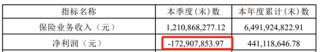 “国寿系”刘东掌舵 鼎和财险能否转危为安？