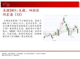 中天期货:纯碱继续下跌 继续上行