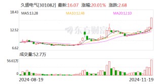 久盛电气：股票交易异常波动