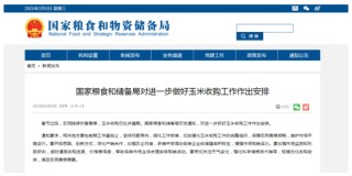 政策暖风吹，玉米开门红