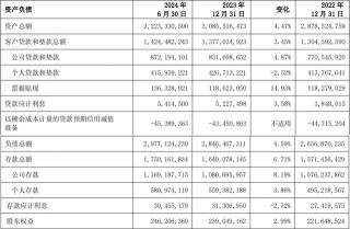 上海银行上半年净利同比增长1.04%，营收同比下降0.43%