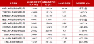 “难兄难弟”各亏17亿！十家“银行系”险企2024成绩揭榜：合计净利99.4亿 新会计准则影响深远