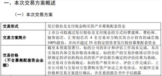 明日复牌！芯片细分龙头股，收购方案公布