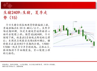 中天期货:玉米快速反弹 纯碱继续下行