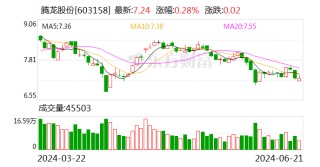 腾龙股份拟投资不超600万欧元 设立摩洛哥全资孙公司