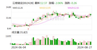 锗价上涨却“赔本” 云南锗业为何增收减利？|财报解读