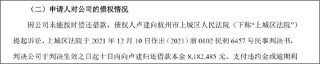昔日跨境电商一哥 为何还不起800万元？