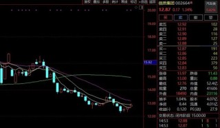 无人报名！1亿股终止公开征集转让！