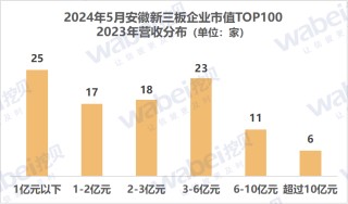 动态[易投配资]2024年5月安徽新三板企业市值TOP100：32家企业去年净利润超3000万元