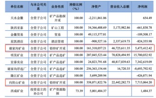 周一解禁！这家公司上市后业绩停滞不前，多次买入0收入资产