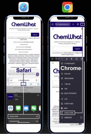 提高研究效率：通过ChemWhat AI化学家克服信息挑战