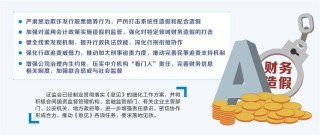 六部门联合发文 打击财务造假形成组合拳 明确坚决打击和遏制的重点领域，证监会已制定细化工作方案
