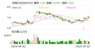 恒逸石化：2024年第二季度“恒逸转债”未发生转股