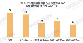 动态[易投配资]2024年5月安徽新三板企业市值TOP100：32家企业去年净利润超3000万元