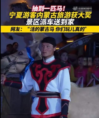 游客内蒙古旅游抽奖抽到一匹马，网友戏称"玩儿真的啊"