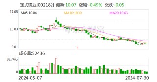 宝武镁业：上半年营业收入同比增15%
