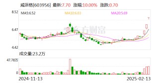 威派格：未与DeepSeek签署服务合作协议