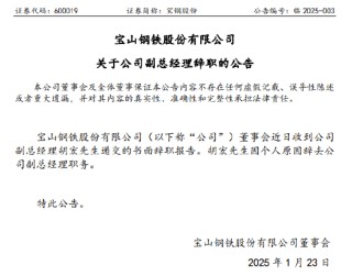 宝钢股份副总胡宏被带走调查，公司公告称因个人原因辞职