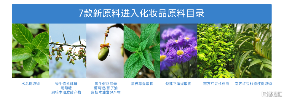 哔哩哔哩:峰瑞资本首例原料端投资！贝泰妮(300957.SZ)开启原料端投资布局-第1张图片
