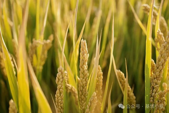 大成基金徐彦：与价值共同长行-第1张图片