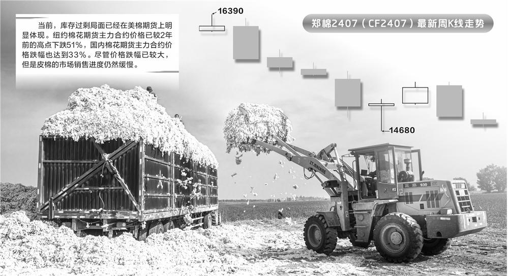 下游消费低迷全球棉价腰斩    棉企利用金融工具应对新一轮过剩危机-第1张图片