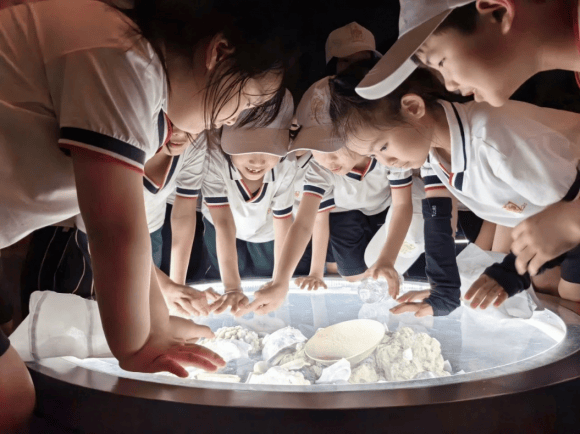 打造教育行业“新质生产力”，海南枫叶国际学校科学教育谱写新篇-第6张图片