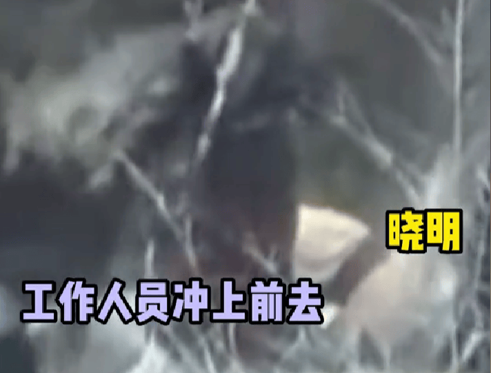 黄晓明曾跳瀑布救刘亦菲，网友：真是过命的交情-第2张图片