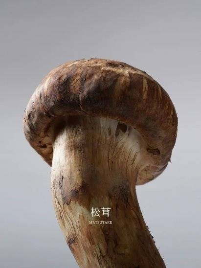 灵汐时代DTC案例 | 2年5个亿，稀物集“根植中国”的差异化升维战-第15张图片